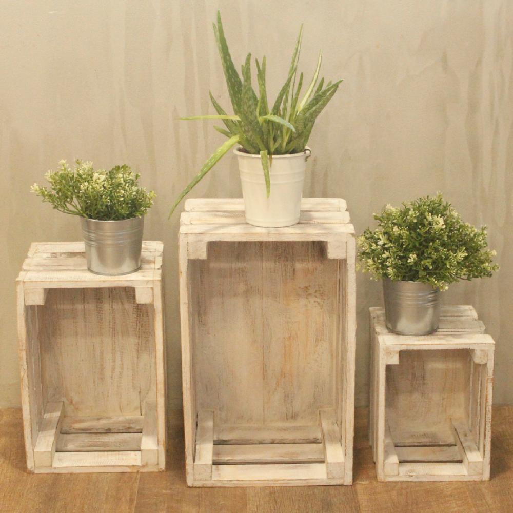 Ancient Wisdom Fruit Box Set Of 3 - Whitewash