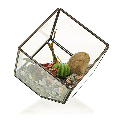 Ancient Wisdom Glass Terrarium - Cube On Corner