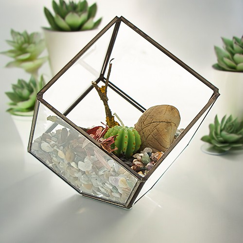 ancient wisdom Glass Terrarium - Cube on Corner