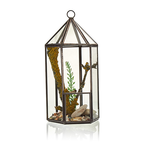 Ancient Wisdom Glass Terrarium - Lantern Shape