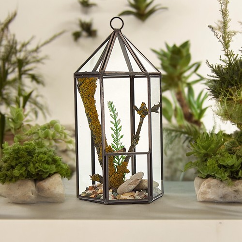ancient wisdom Glass Terrarium - Lantern Shape