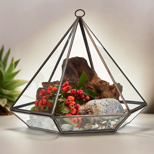 ancient wisdom Glass Terrarium - Large Diamond