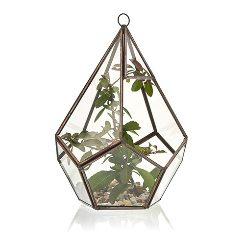 Ancient Wisdom Glass Terrarium - Large Pentagon