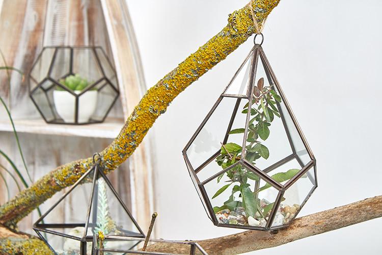 Ancient Wisdom Glass Terrarium - Large Pentagon