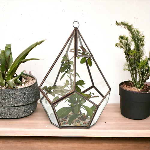 ancient wisdom Glass Terrarium - Large Pentagon