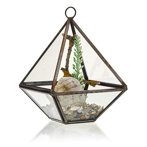 Ancient Wisdom Glass Terrarium - Small Diamond