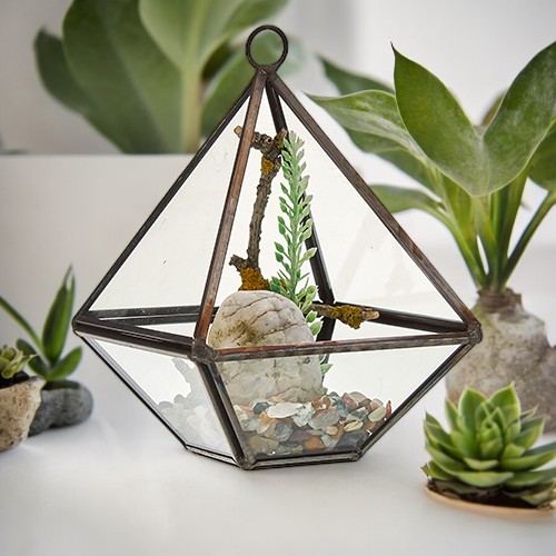 ancient wisdom Glass Terrarium - Small Diamond