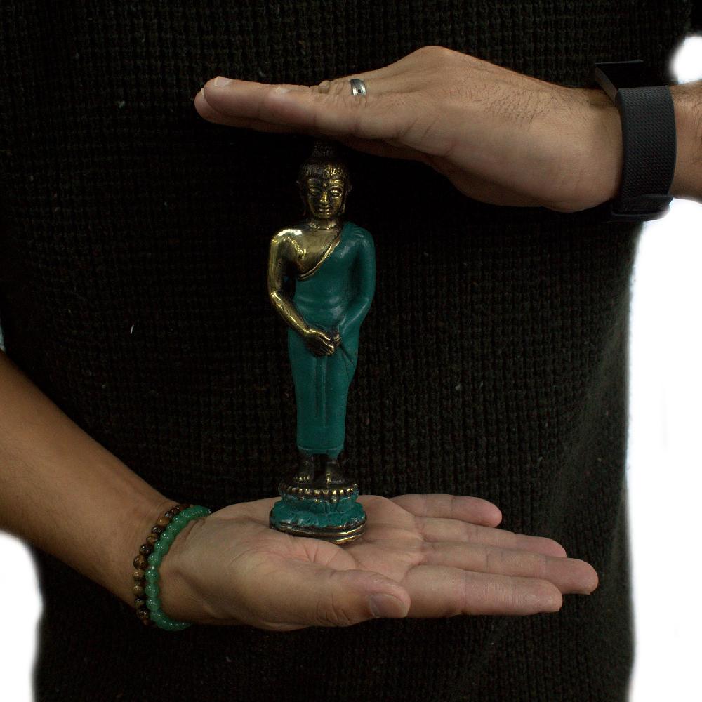 Ancient Wisdom Med Standing Buddha