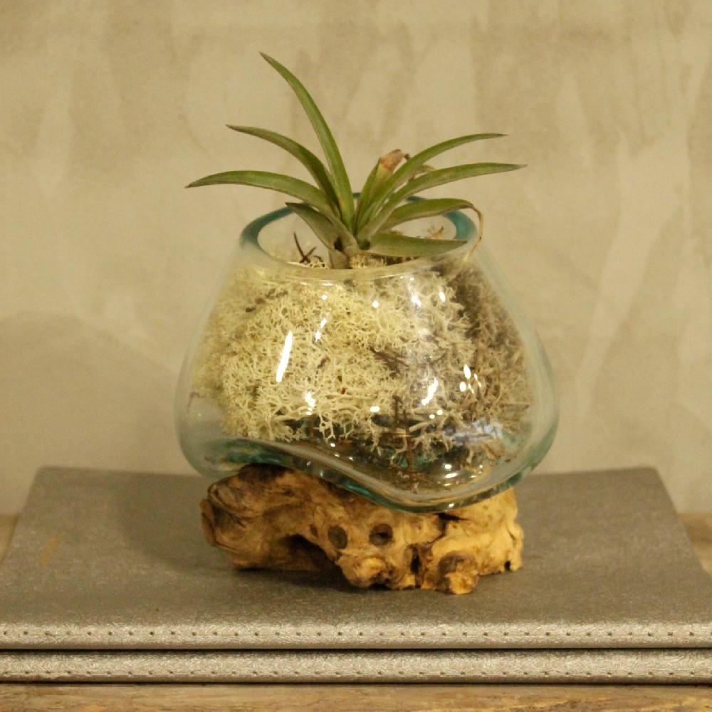 Ancient Wisdom Molten Glass On Wood - Small Bowl