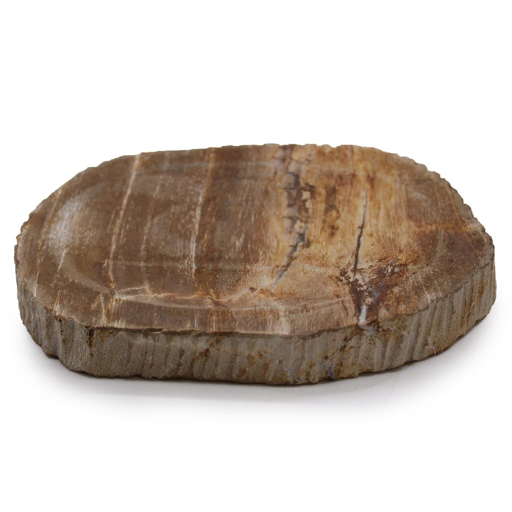 ancient wisdom Petrified Wood Brown Soap Dish