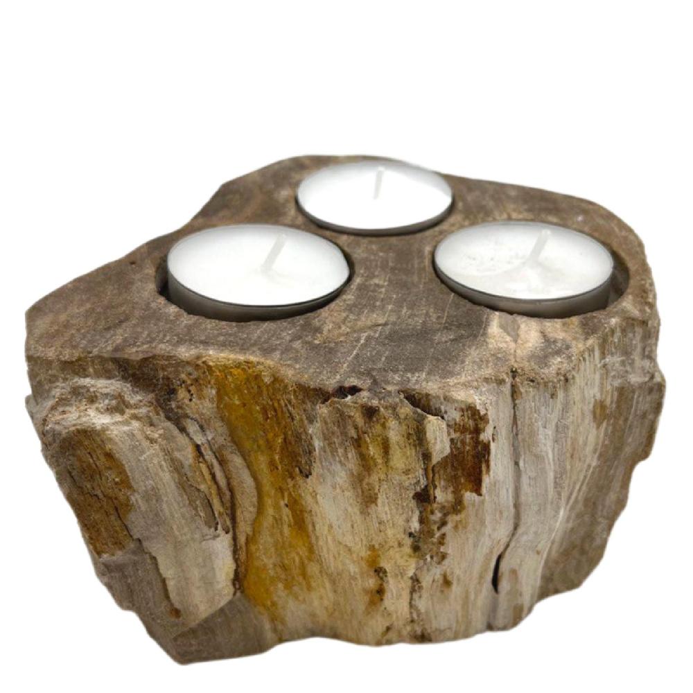 Ancient Wisdom Petrified Wood Candle Holder - Triple