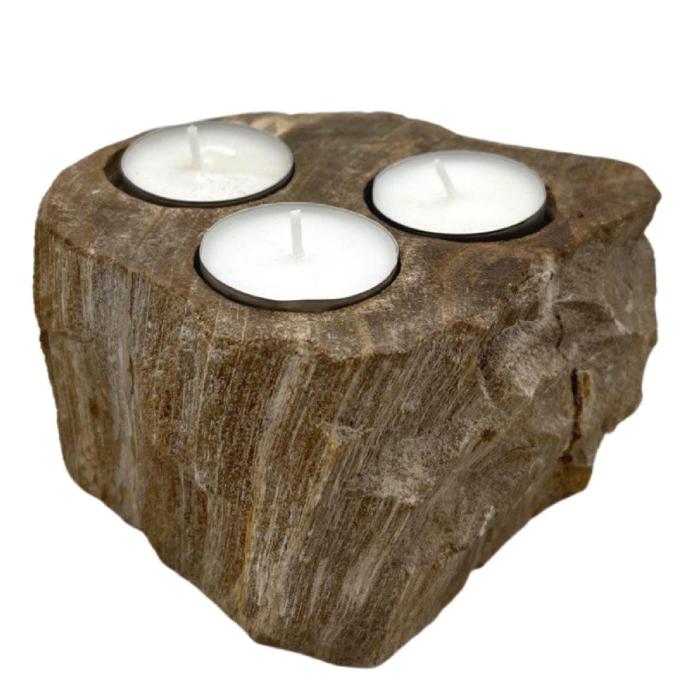 Ancient Wisdom Petrified Wood Candle Holder - Triple