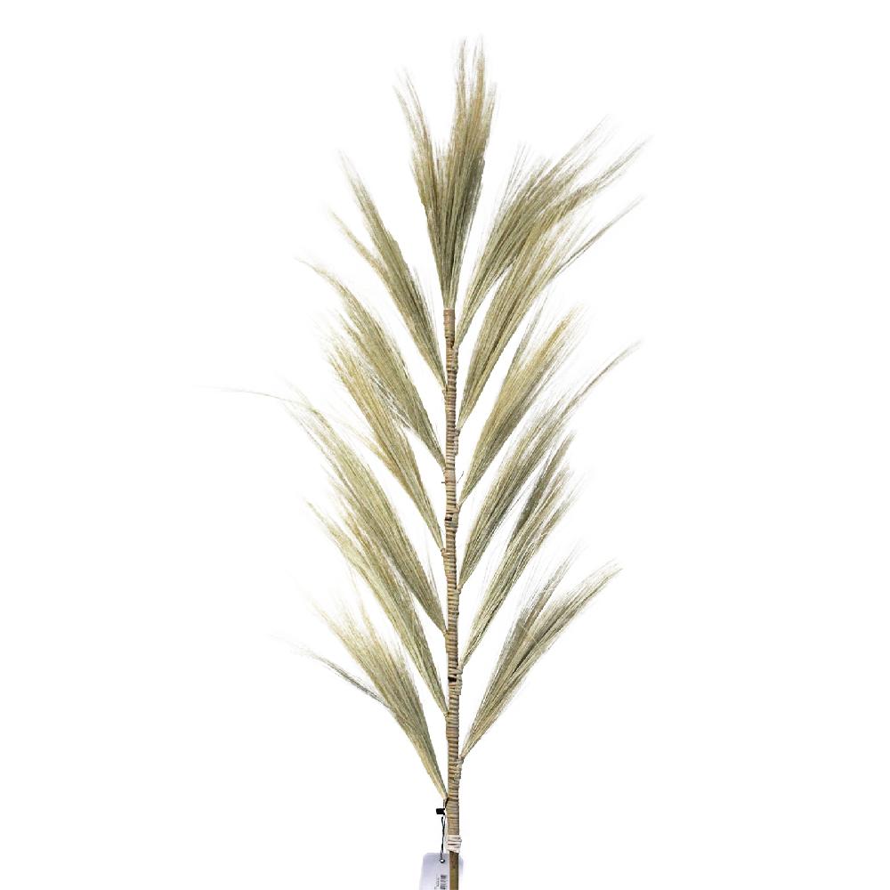 Ancient Wisdom Rayung Grass Blond - 1.6m