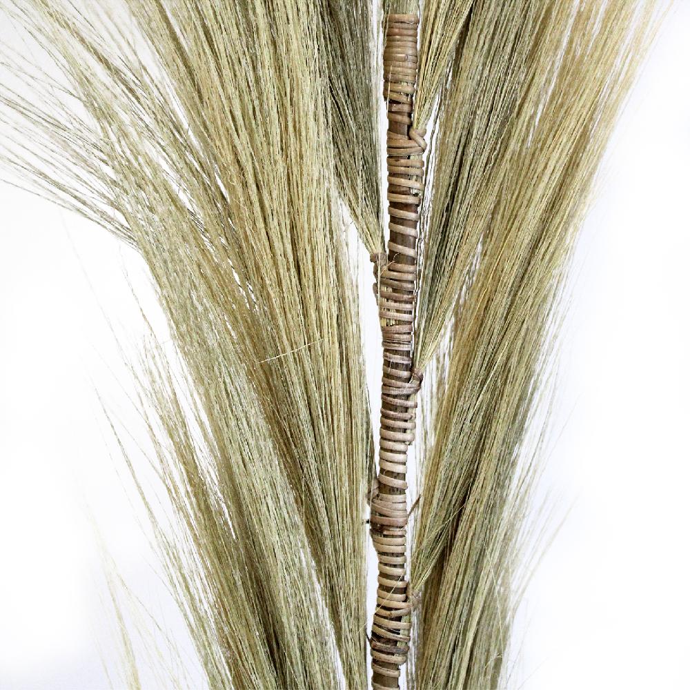 Ancient Wisdom Rayung Grass Blond - 1.6m