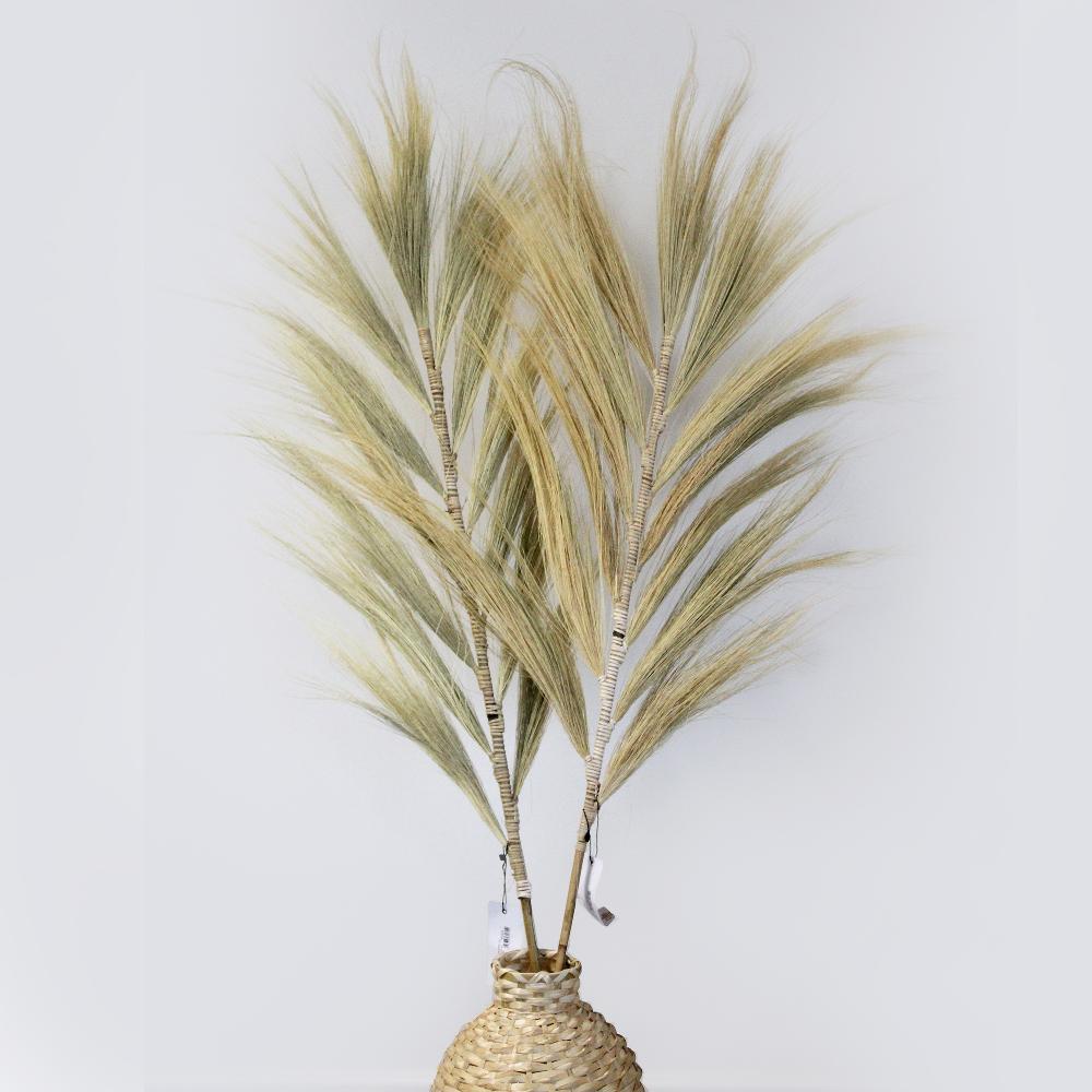 ancient wisdom Rayung Grass Blond - 1.6m