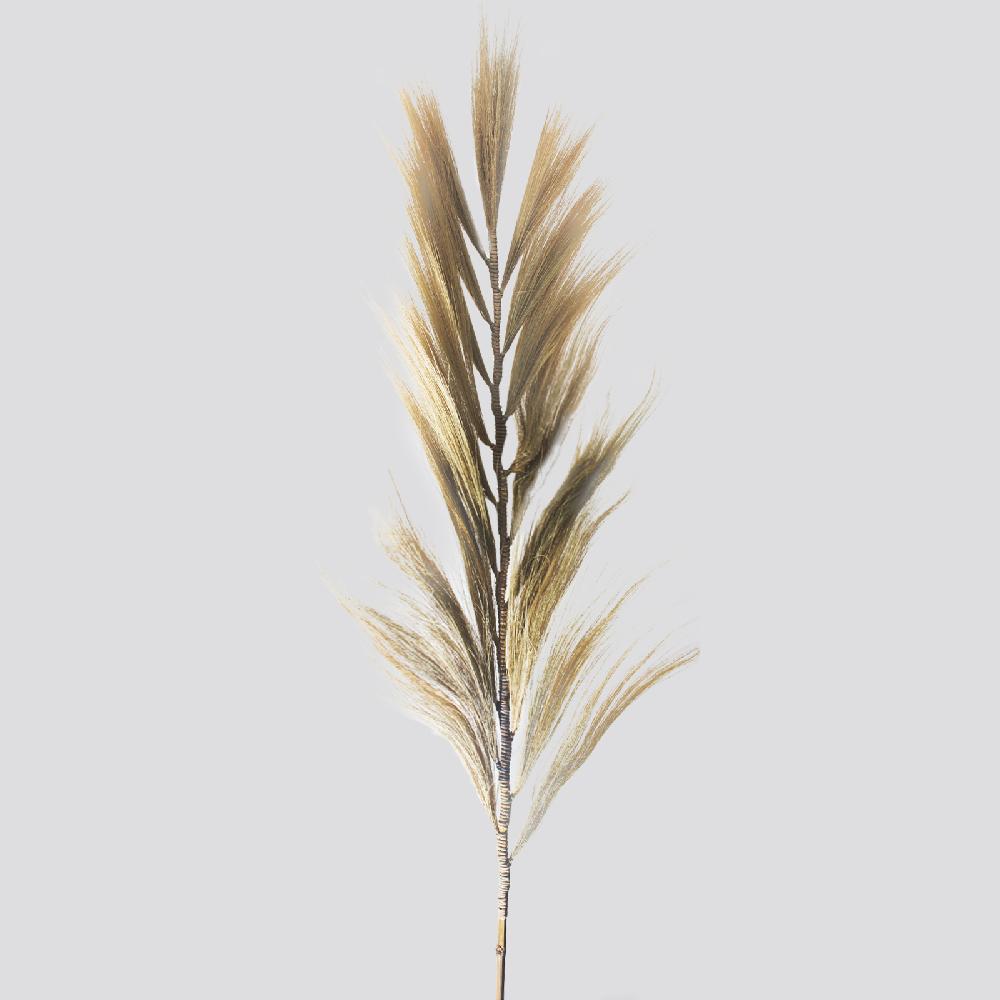 Ancient Wisdom Rayung Grass Blond - 2m