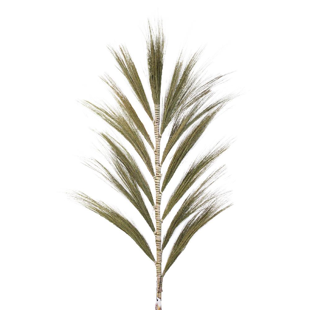 Ancient Wisdom Rayung Grass Natural - 1.6m