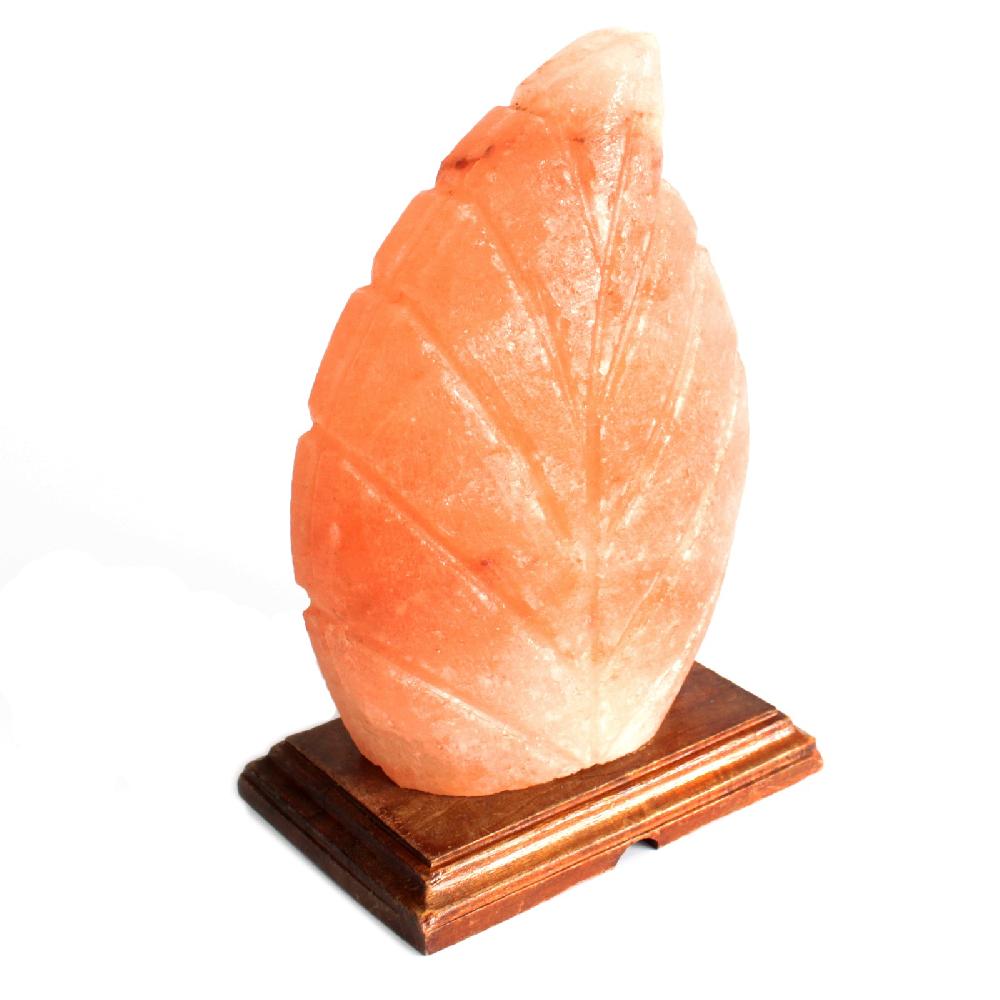 Ancient Wisdom Salt Lamp - UK Plug - Fern Shaped