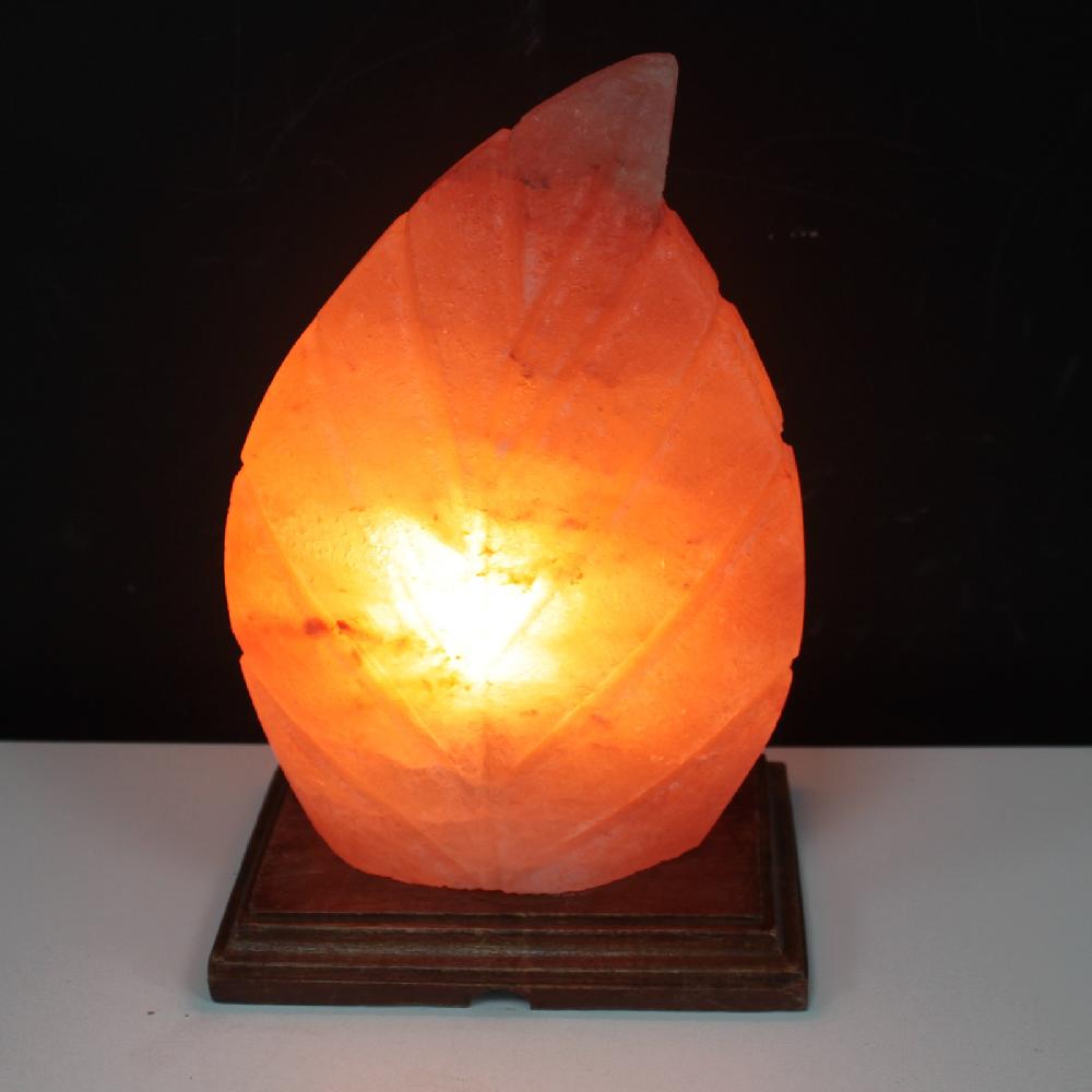 Ancient Wisdom Salt Lamp - UK Plug - Fern Shaped