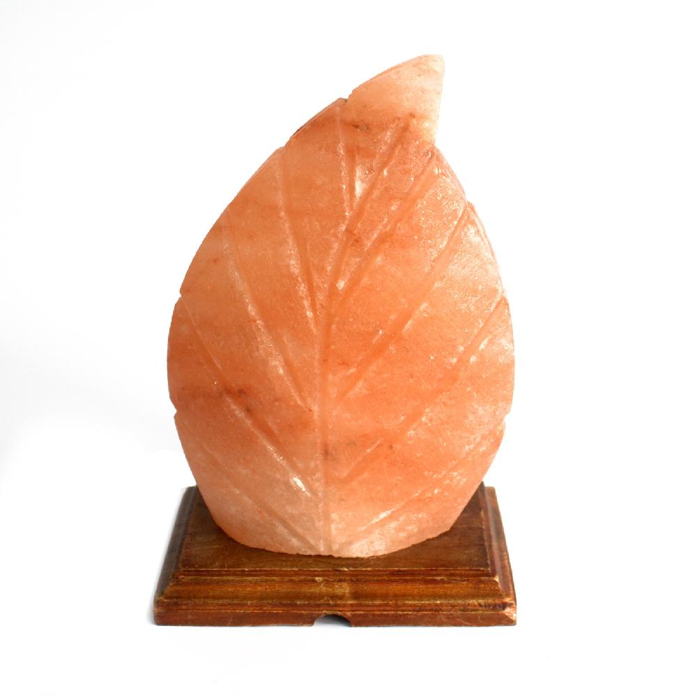 ancient wisdom Salt Lamp - UK Plug - Fern Shaped