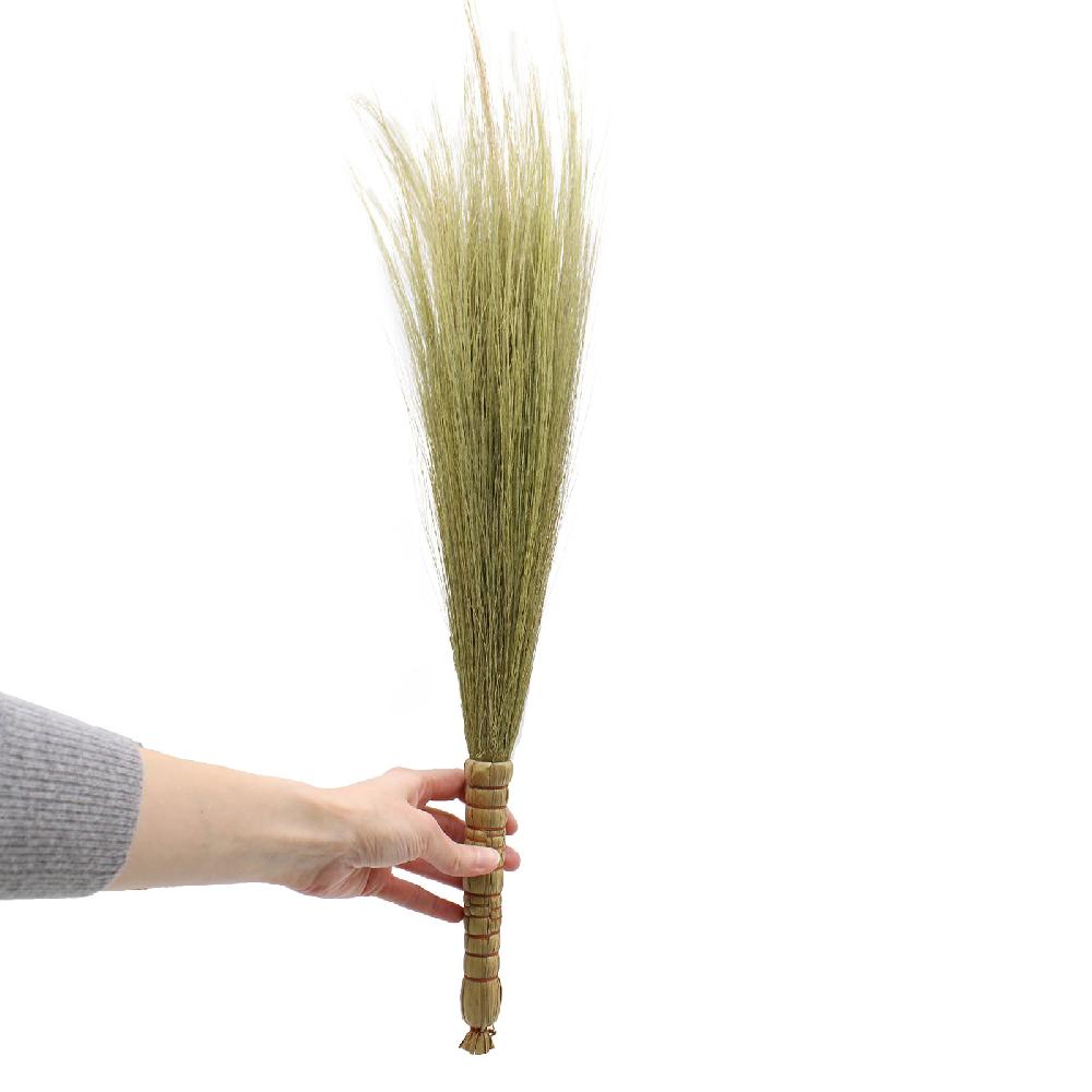 Ancient Wisdom Set 4 - Pampas Broom - Natural