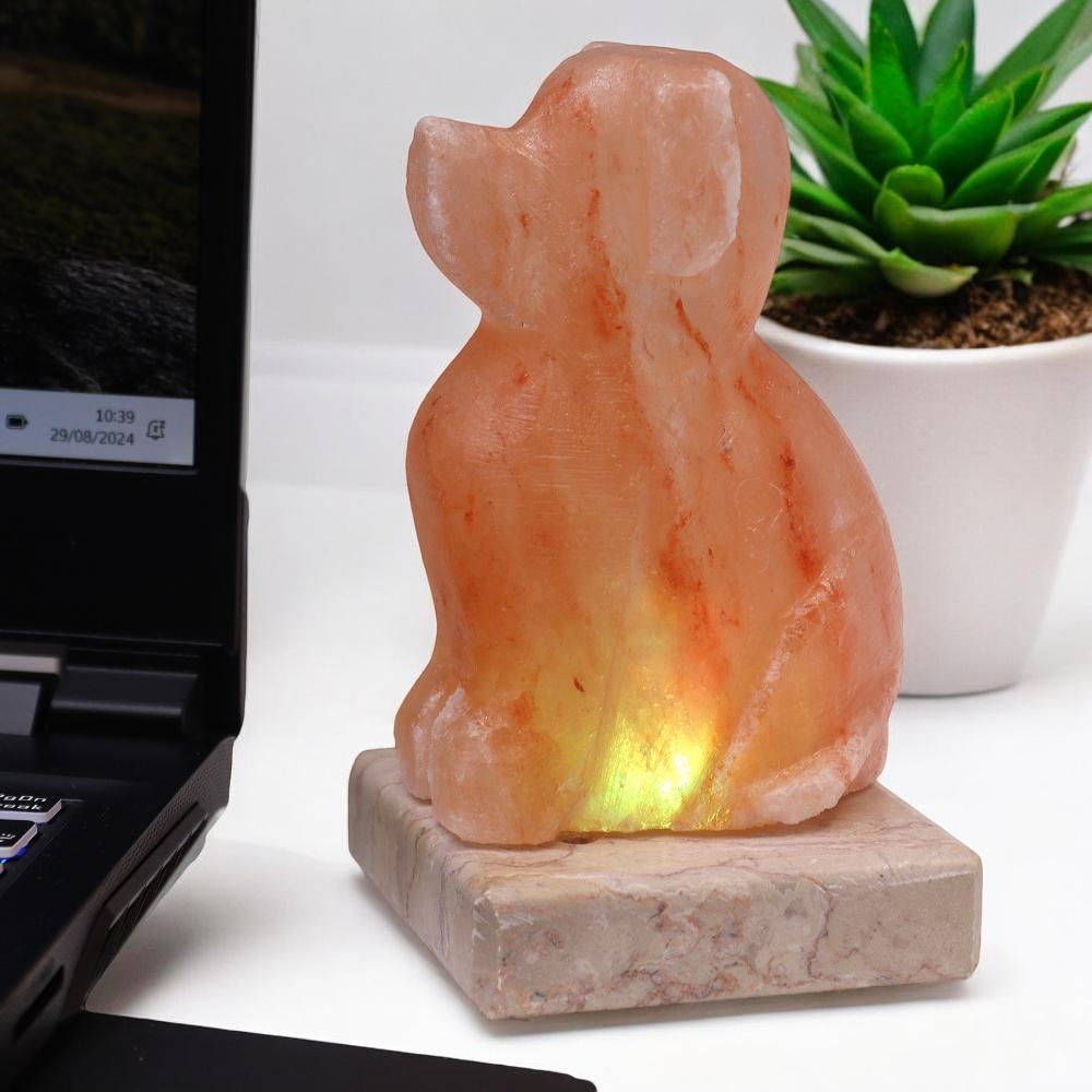 ancient wisdom USB Dog Shaped (Multi)