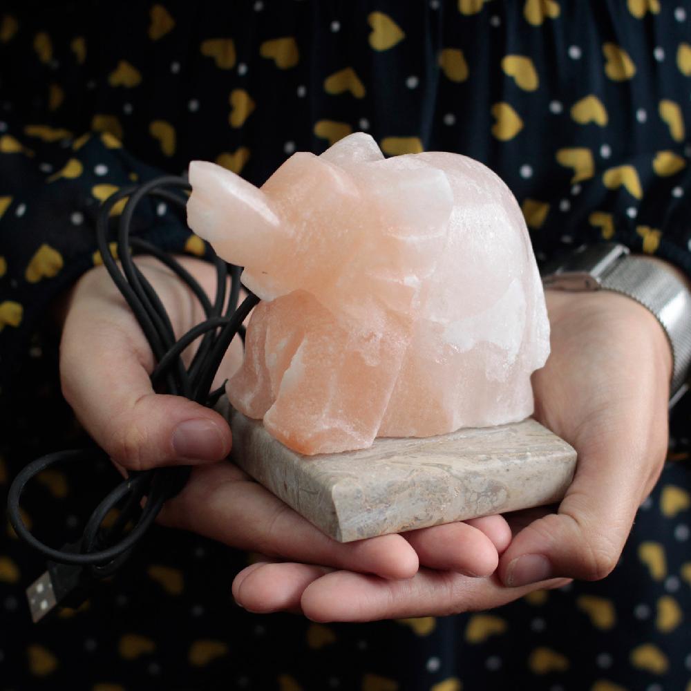 Ancient Wisdom USB Elephant Shaped (Multi)