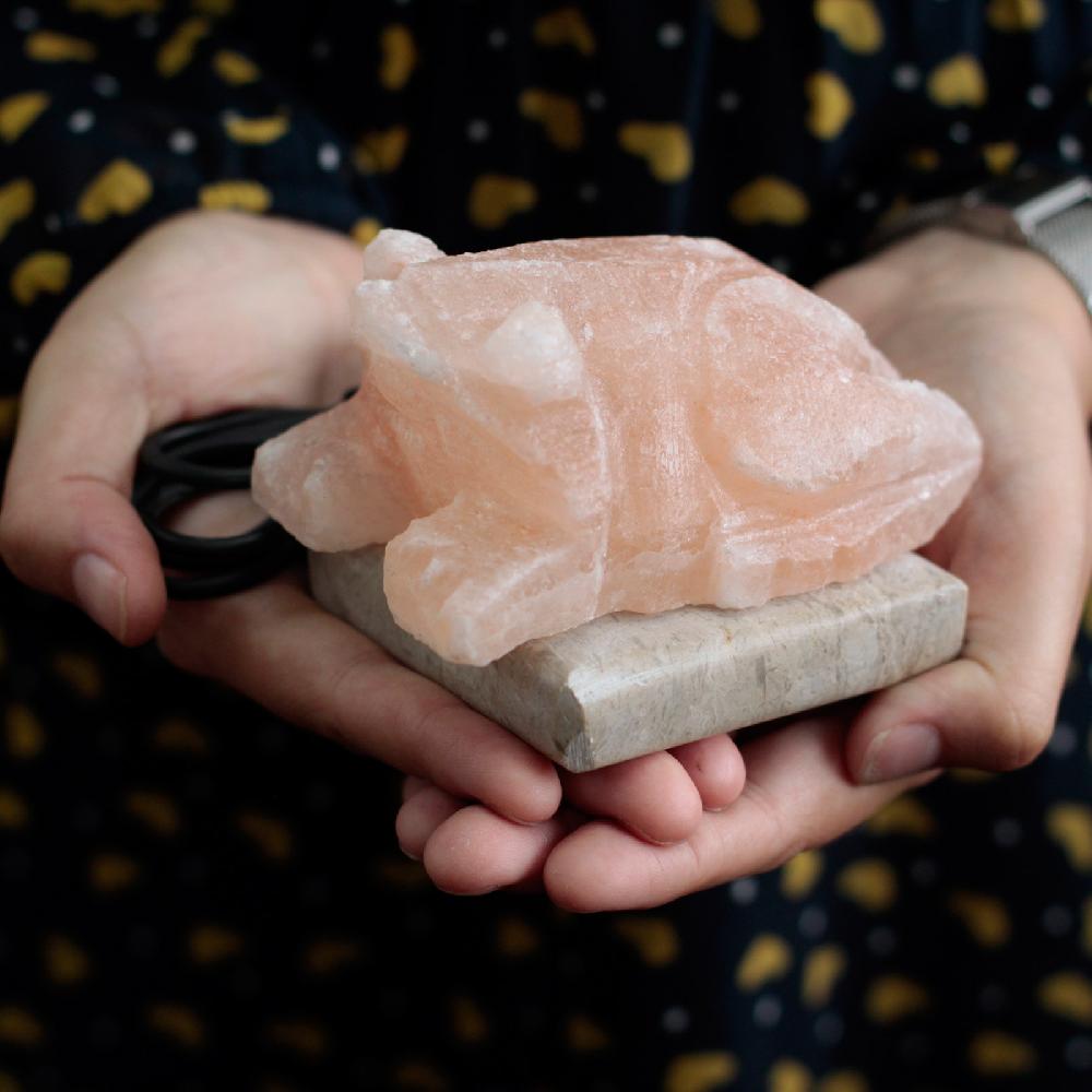 Ancient Wisdom USB Toad Shaped (Multi)