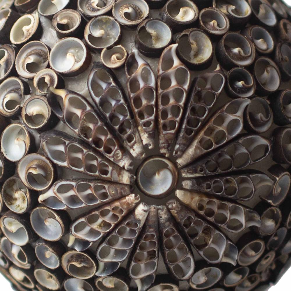 Ancient Wisdom Boho Sea Shell Lamp - Chocolate Twist Square - 15cm