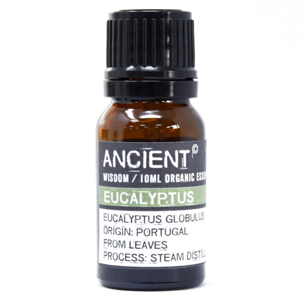 ancient wisdom Eucalyptus Organic Essential Oil 10ml
