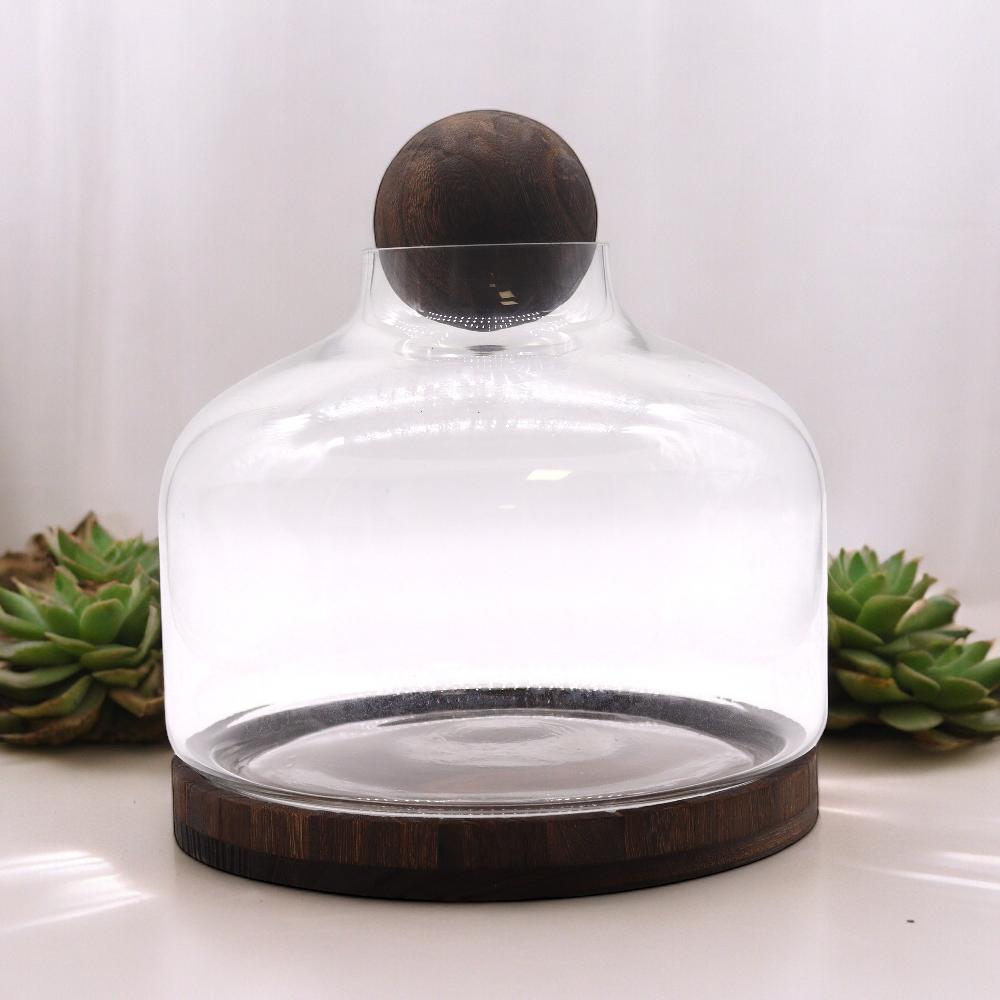 ancient wisdom Ex-Large Ball Top Terrarium on Dark Tung Wood - 23x23cm