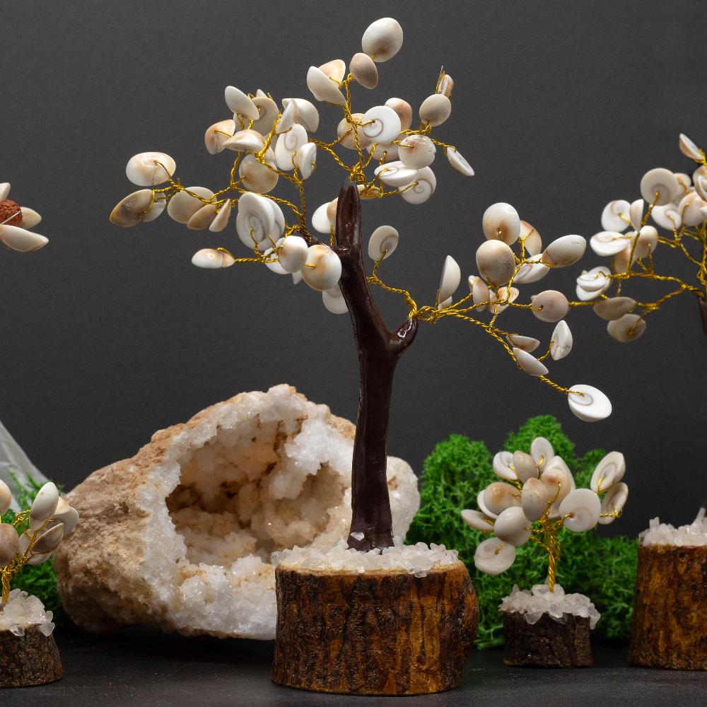 Ancient Wisdom Lrg Gomati Chakra Circle Stone Trees - (60 Stones)