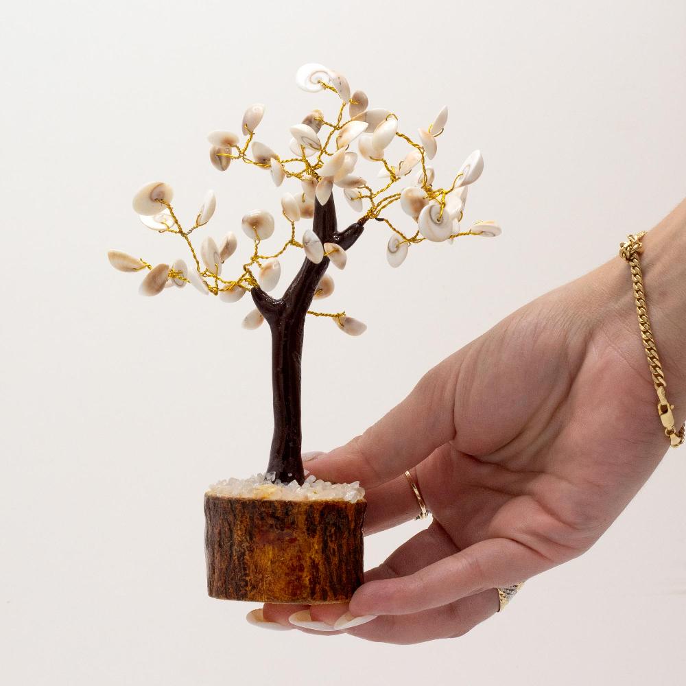 Ancient Wisdom Lrg Gomati Chakra Circle Stone Trees - (60 Stones)
