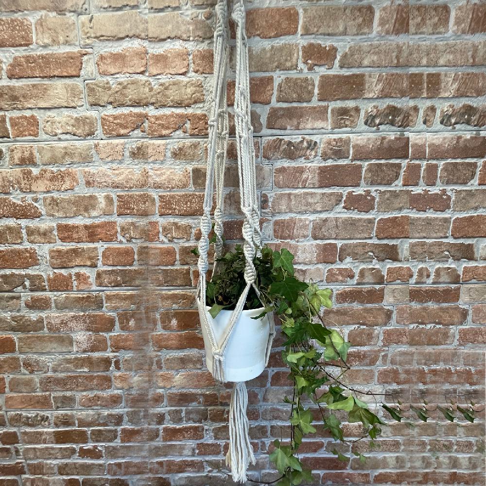 Ancient Wisdom Macrame Pot Holder - Large Pot Holder - Extra Long