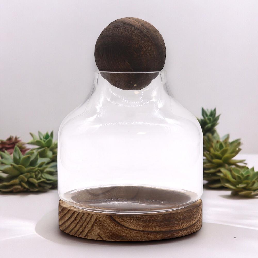 ancient wisdom Medium Ball Top Terarium on Dark Tung Wood - 17x22cm
