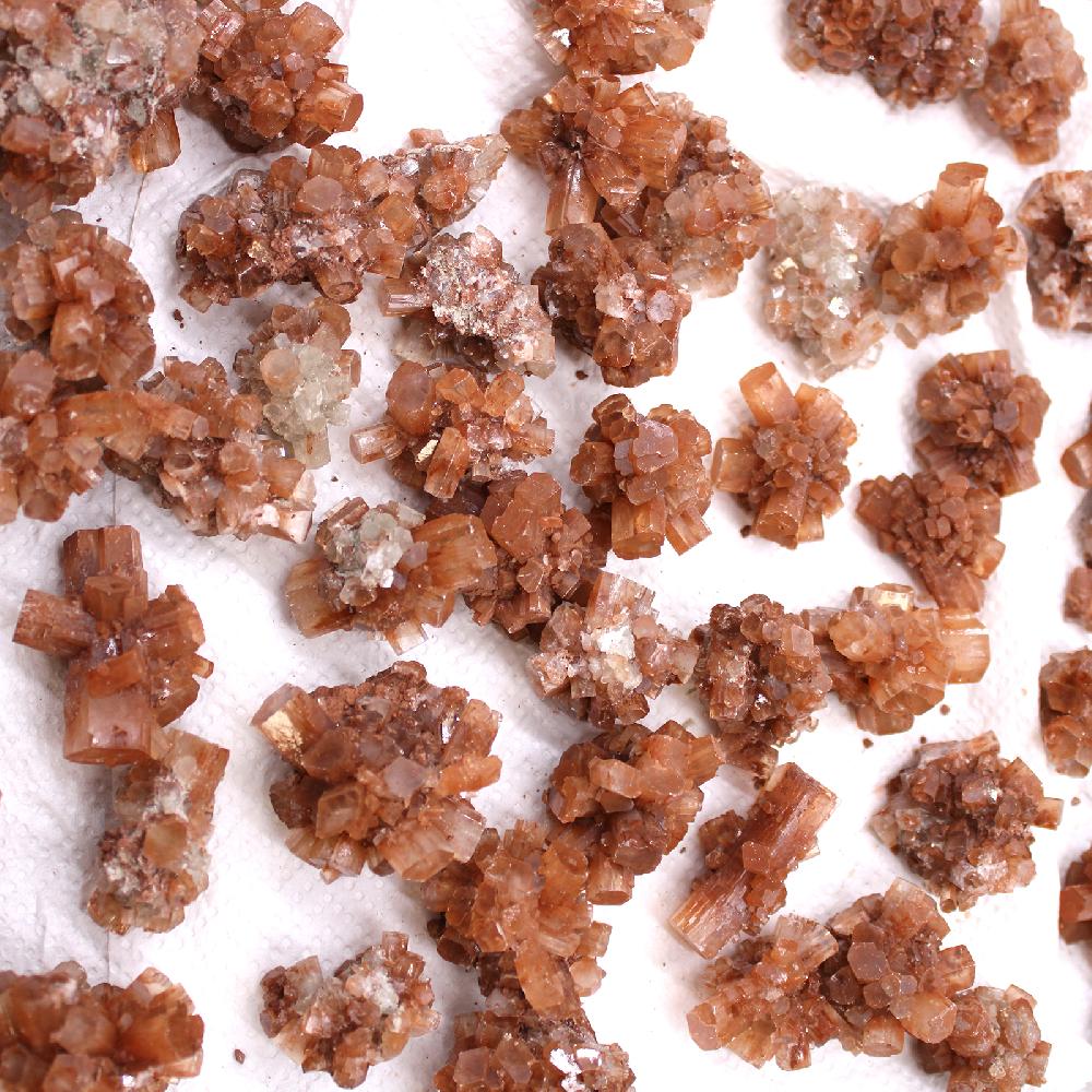 Ancient Wisdom Mineral Specimens - Aragonite (in-between 20-52 Pieces)