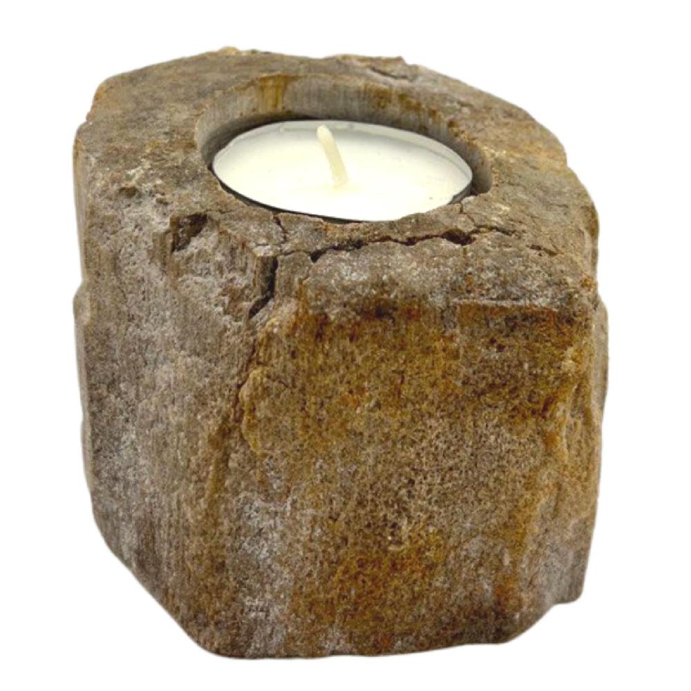 Ancient Wisdom Petrified Wood Candle Holder - Single Low