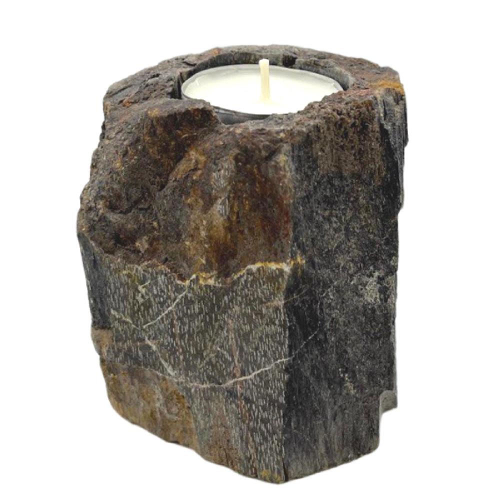 Ancient Wisdom Petrified Wood Candle Holder - Single Low