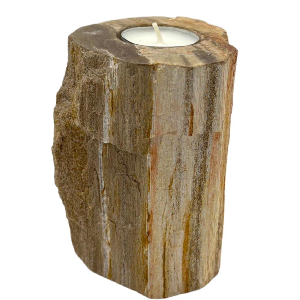 Ancient Wisdom Petrified Wood Candle Holder - Single Tall