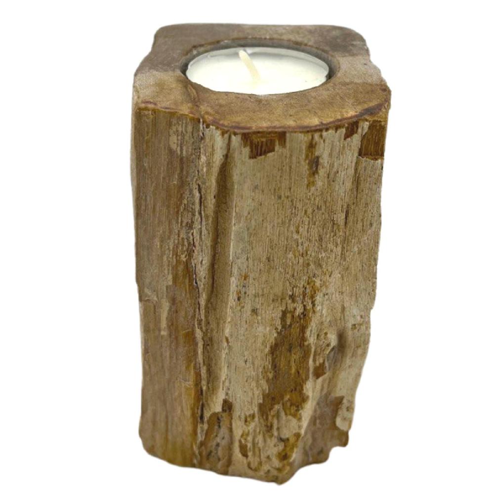 Ancient Wisdom Petrified Wood Candle Holder - Single Tall