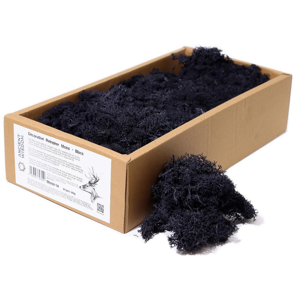 ancient wisdom Quality Decorative Reindeer Moss - Black - 635g Box