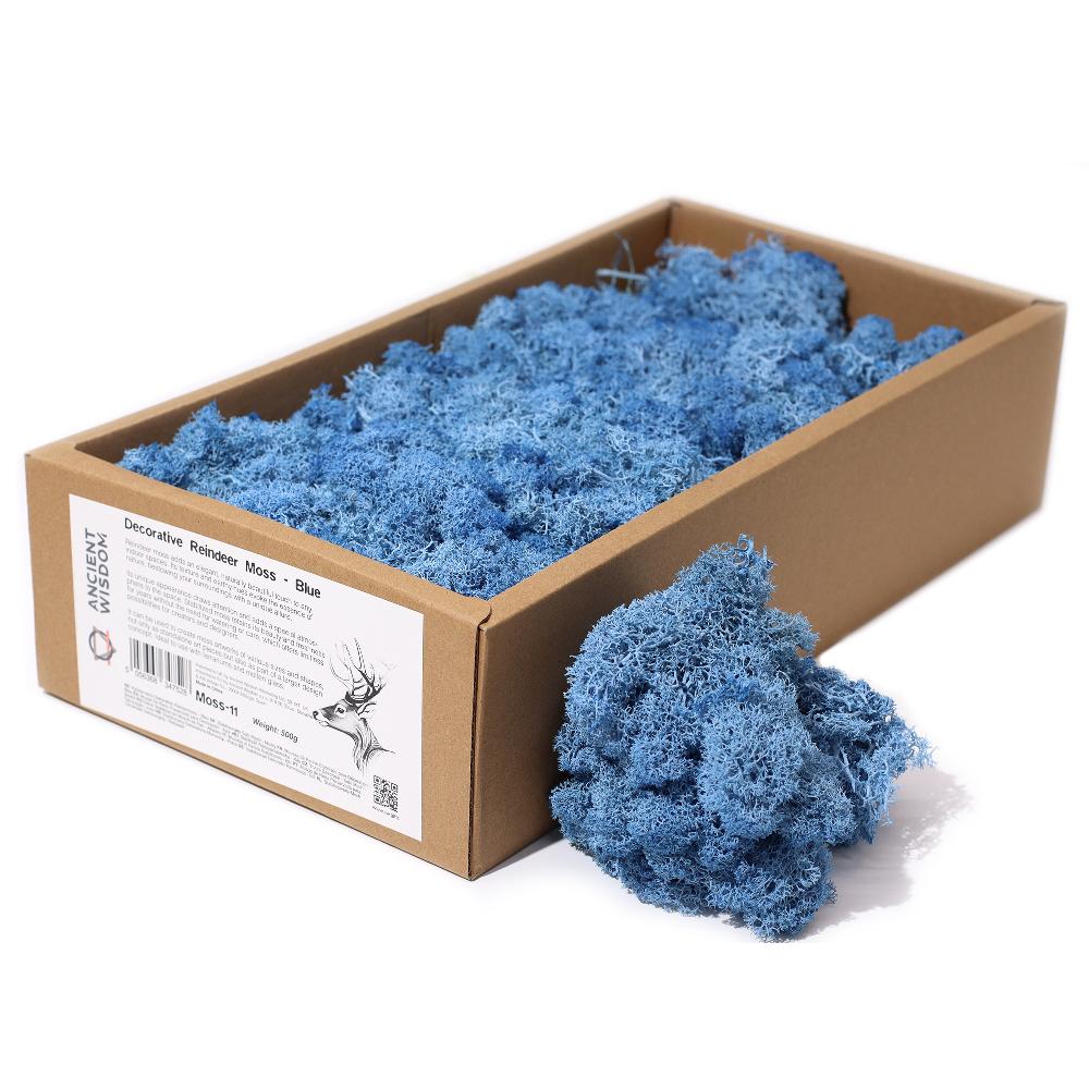 ancient wisdom Quality Decorative Reindeer Moss - Blue - 635g Box