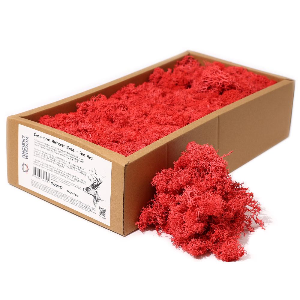 ancient wisdom Quality Decorative Reindeer Moss - Fire Red - 635g Box
