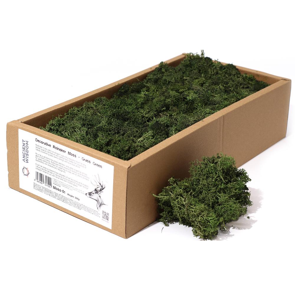 ancient wisdom Quality Decorative Reindeer Moss - Grass Green - 635g Box