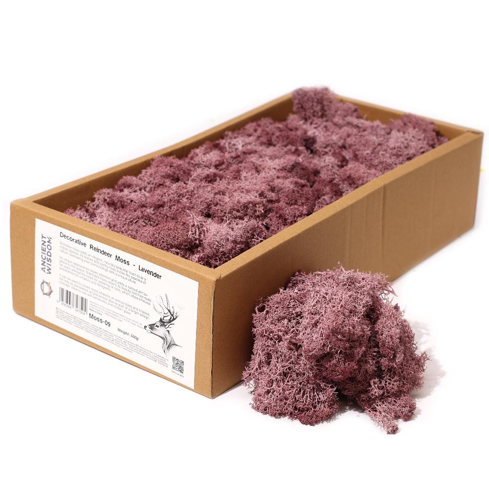 ancient wisdom Quality Decorative Reindeer Moss - Lavender - 635g Box