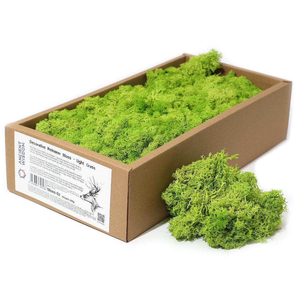 ancient wisdom Quality Decorative Reindeer Moss - Light Grass - 635g Box