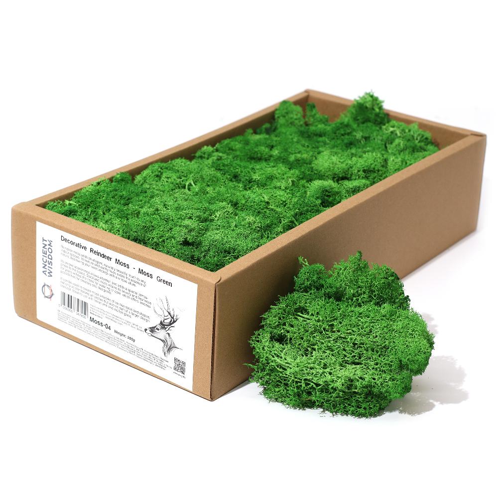 ancient wisdom Quality Decorative Reindeer Moss - Moss Green - 635g Box