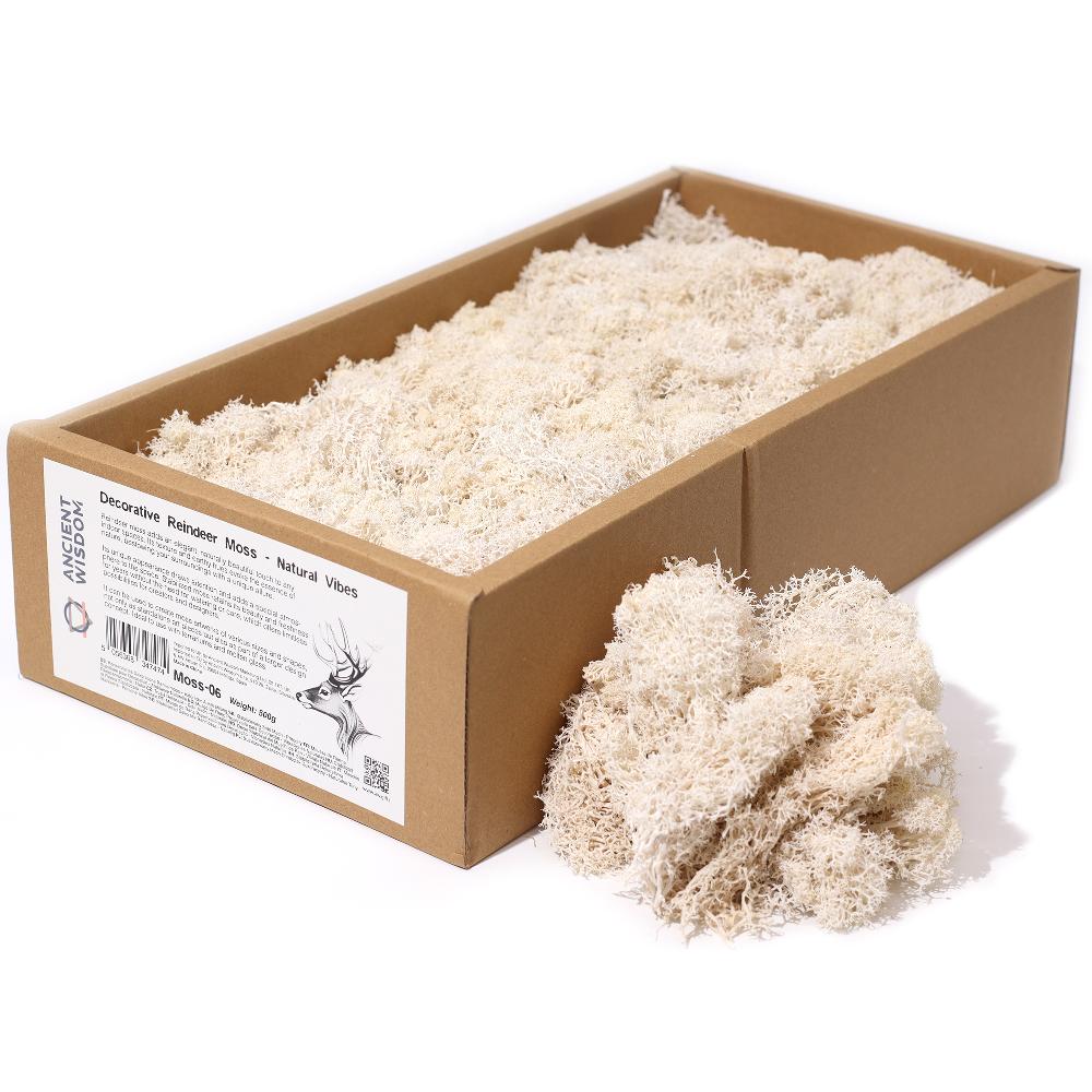 ancient wisdom Quality Decorative Reindeer Moss - Natural Vibes - 635g Box