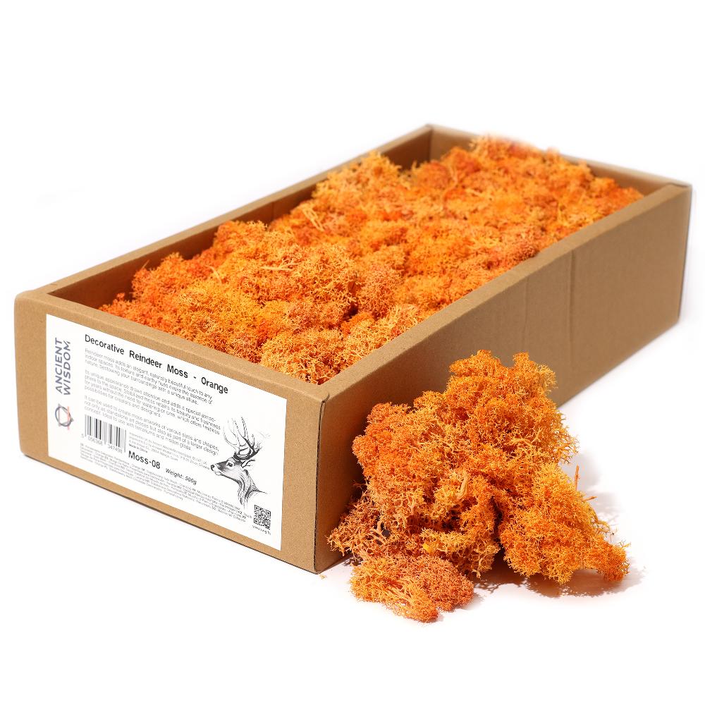 ancient wisdom Quality Decorative Reindeer Moss - Orange - 635g Box