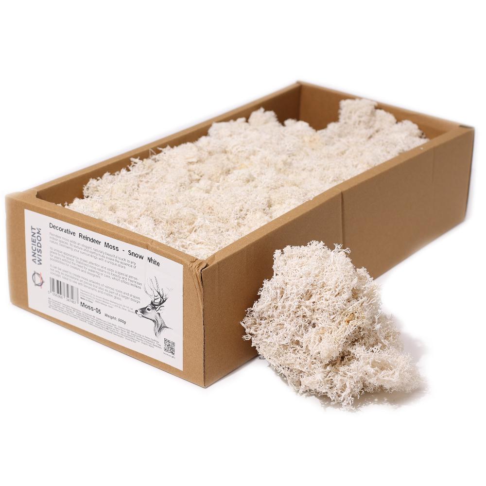 ancient wisdom Quality Decorative Reindeer Moss - Snow White - 635g Box